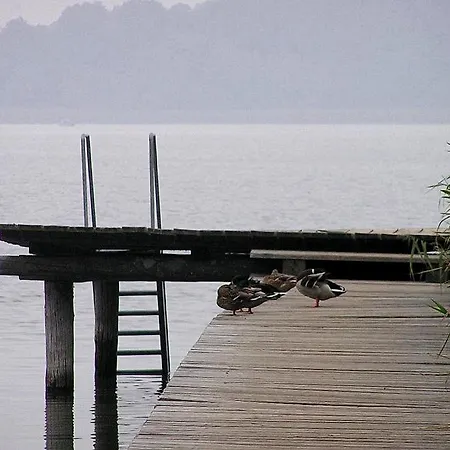 Wallner Ferienhaus *